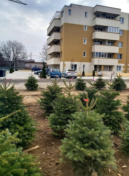 Bucuresti- Magurele, zona Calea Rahovei, ansamblul Aristos Residence